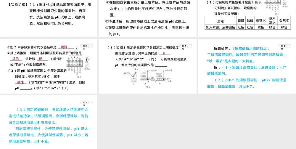 第十单元实验活动7溶液酸碱性检验教学PPT课件.pptx