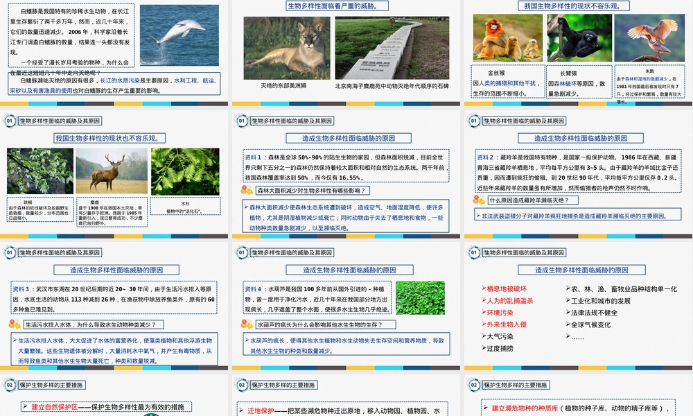 保护生物多样性八年级生物教学PPT课件.pptx