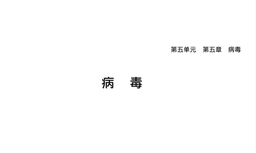 人教版八年级生物病毒巩固习题PPT课件.ppt