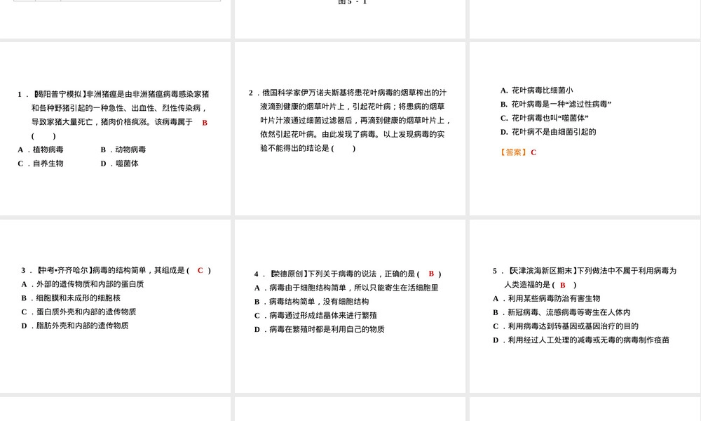 人教版八年级生物病毒巩固习题PPT课件.ppt