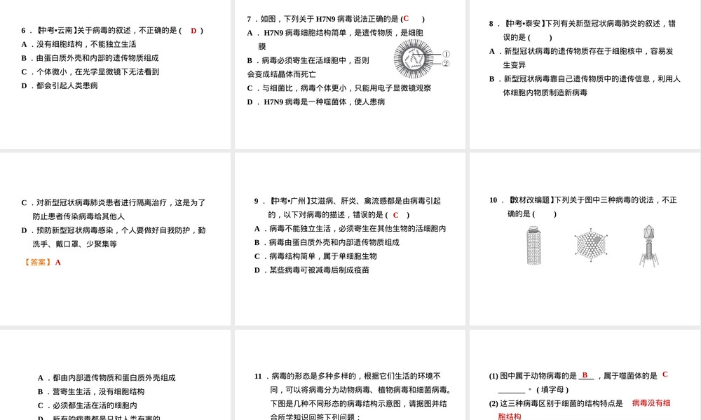 人教版八年级生物病毒巩固习题PPT课件.ppt