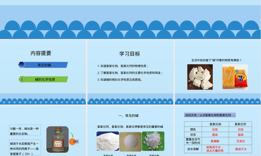 鲁教版九年级化学碱及其性质教学PPT课件.pptx