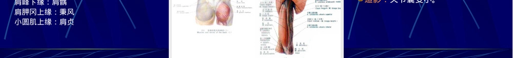 肩周炎康复治疗PPT课件.ppt
