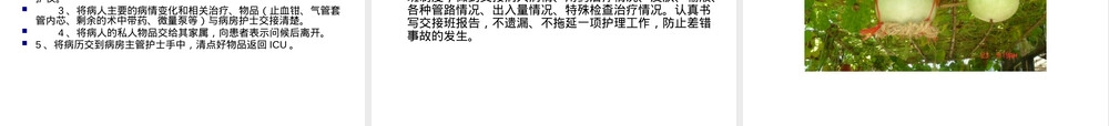护士交接班流程与规范PPT课件.ppt
