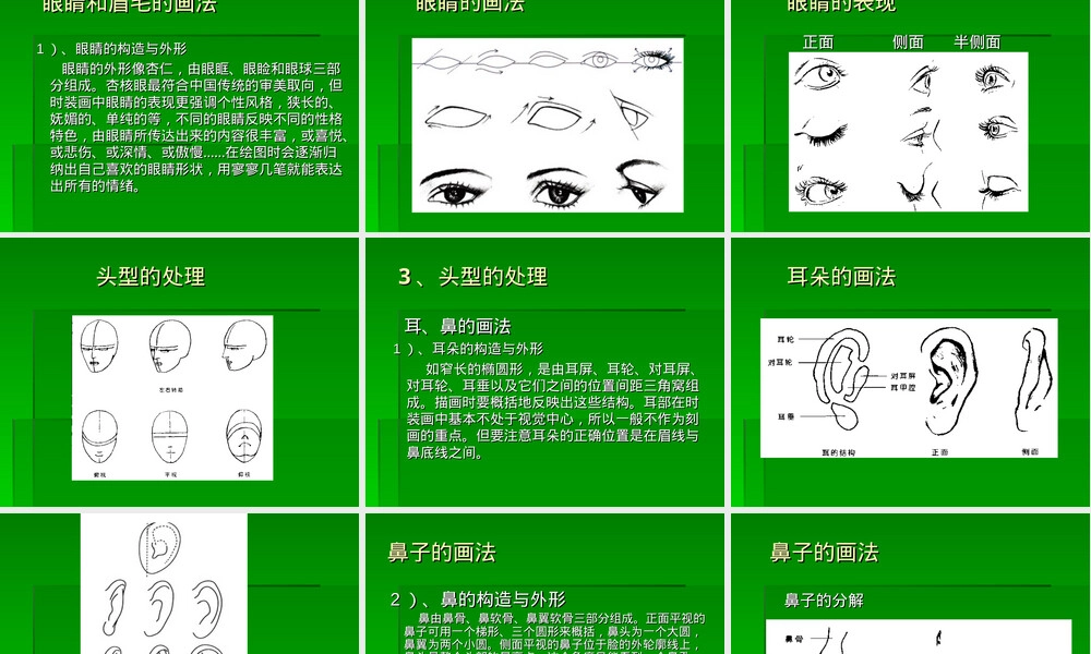 服装人体与时装画教学PPT课件.ppt