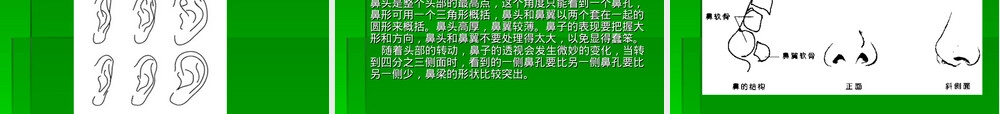 服装人体与时装画教学PPT课件.ppt
