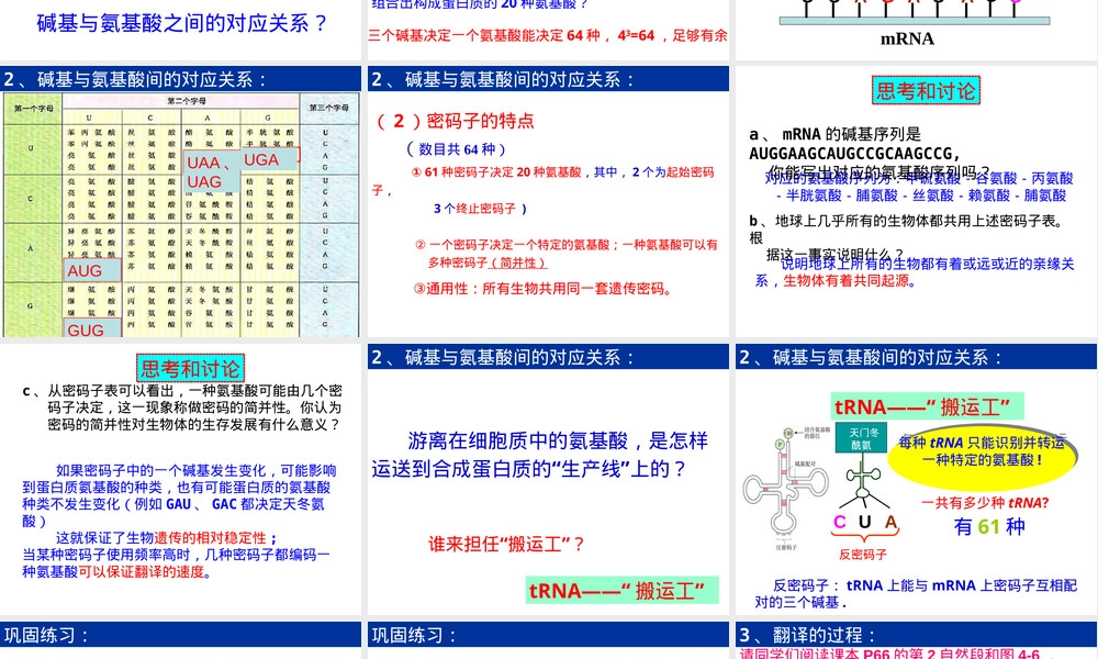 基因的表达翻译教学PPT课件.ppt