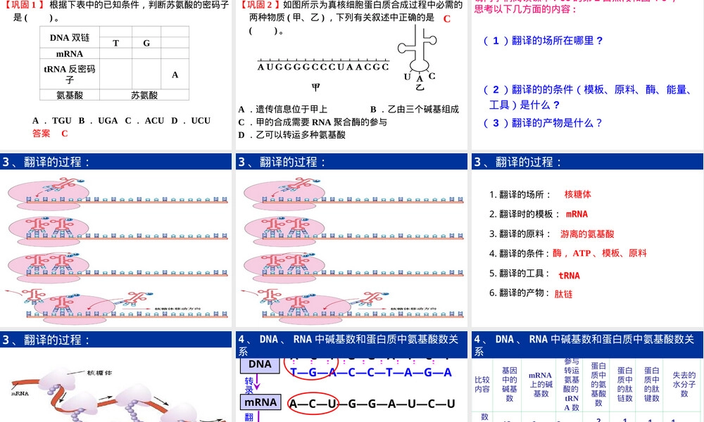 基因的表达翻译教学PPT课件.ppt