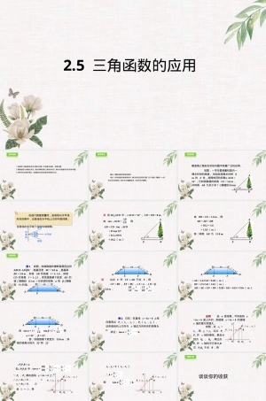 鲁教版九年级数学三角函数应用教学PPT课件.ppt