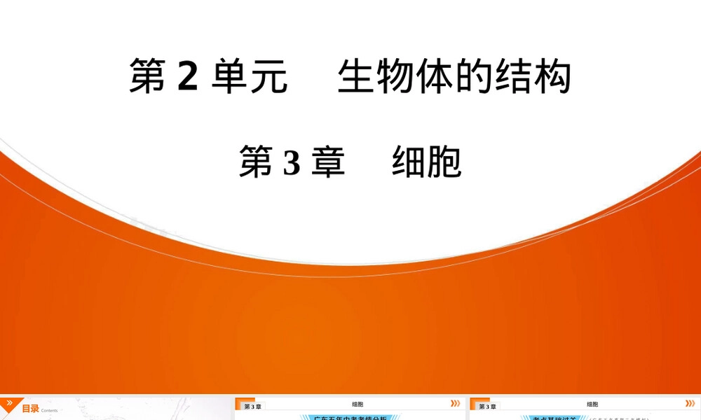 广东中考初三生物复习PPT课件｜细胞.ppt