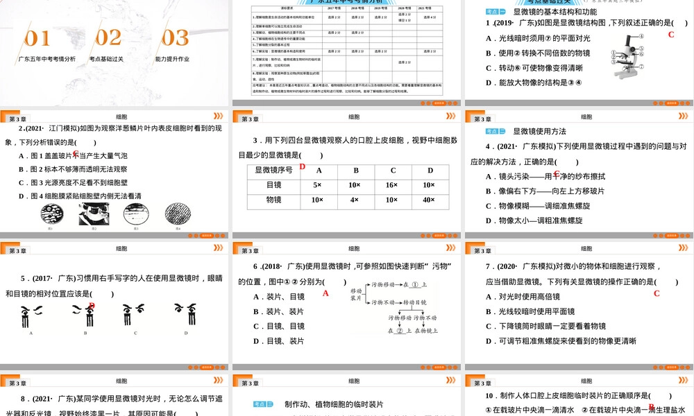 广东中考初三生物复习PPT课件｜细胞.ppt
