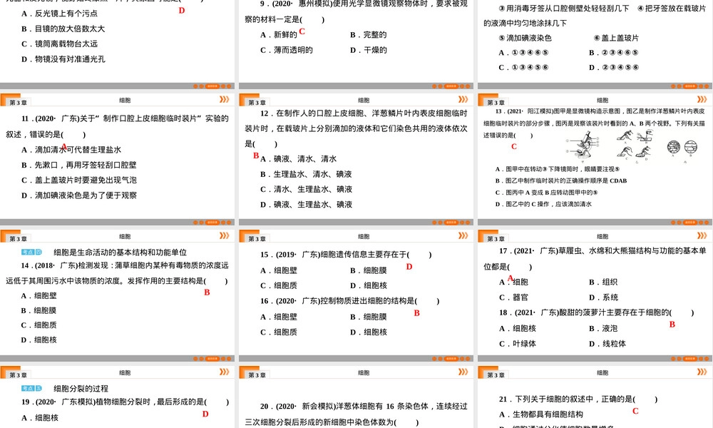 广东中考初三生物复习PPT课件｜细胞.ppt