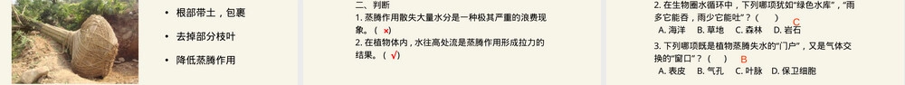 绿色植物与生物圈的水循环七年级生物PPT课件人教版.pptx
