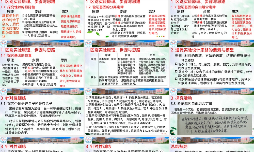 实验设计思路教学PPT课件.pptx