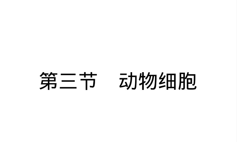 人教版七年级生物上册动物细胞教学PPT课件.ppt