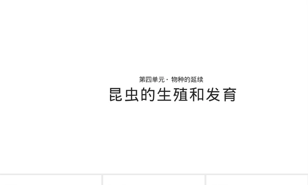 人教济南版八年级生物动物的生殖和发育教学PPT课件.pptx