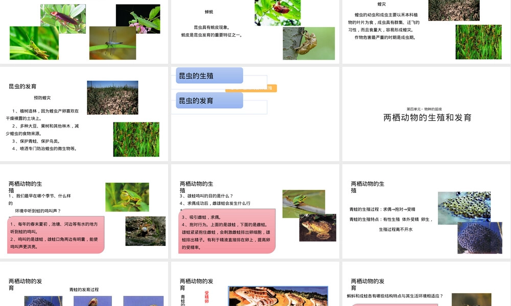 人教济南版八年级生物动物的生殖和发育教学PPT课件.pptx