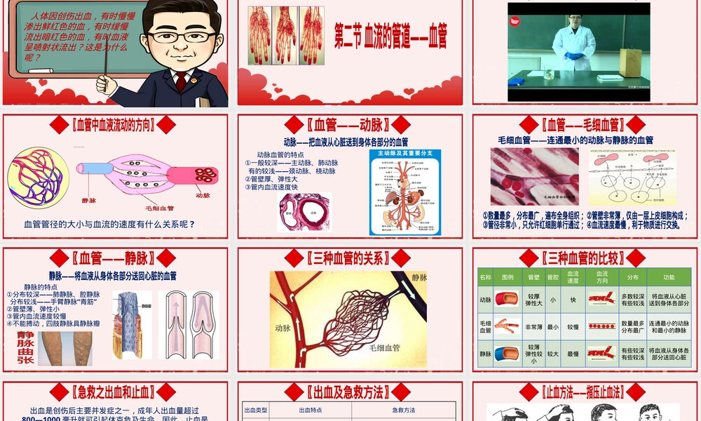 血流的管道血管七年级生物下册教学PPT课件.pptx