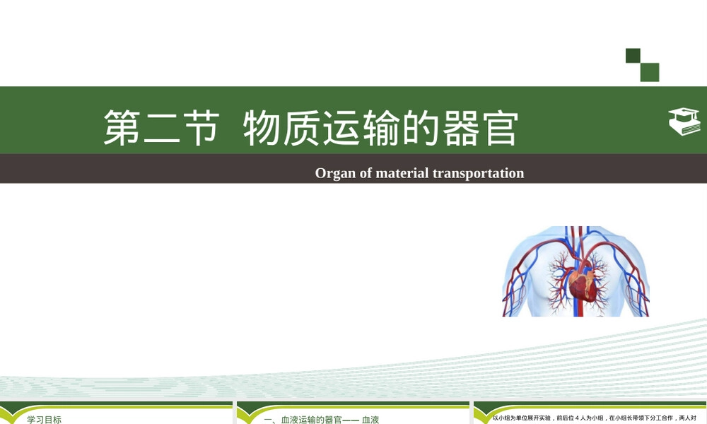 物质运输的器官七年级生物教学PPT课件.pptx