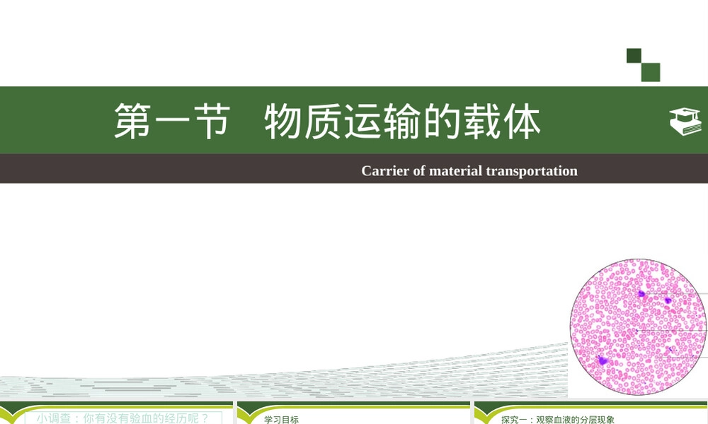 物质运输的载体七年级生物教学PPT课件济南版.pptx