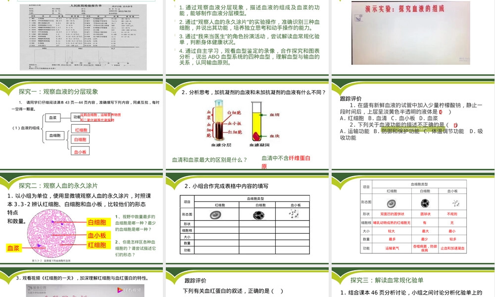 物质运输的载体七年级生物教学PPT课件济南版.pptx