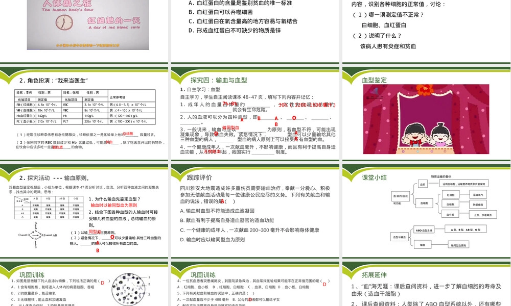 物质运输的载体七年级生物教学PPT课件济南版.pptx
