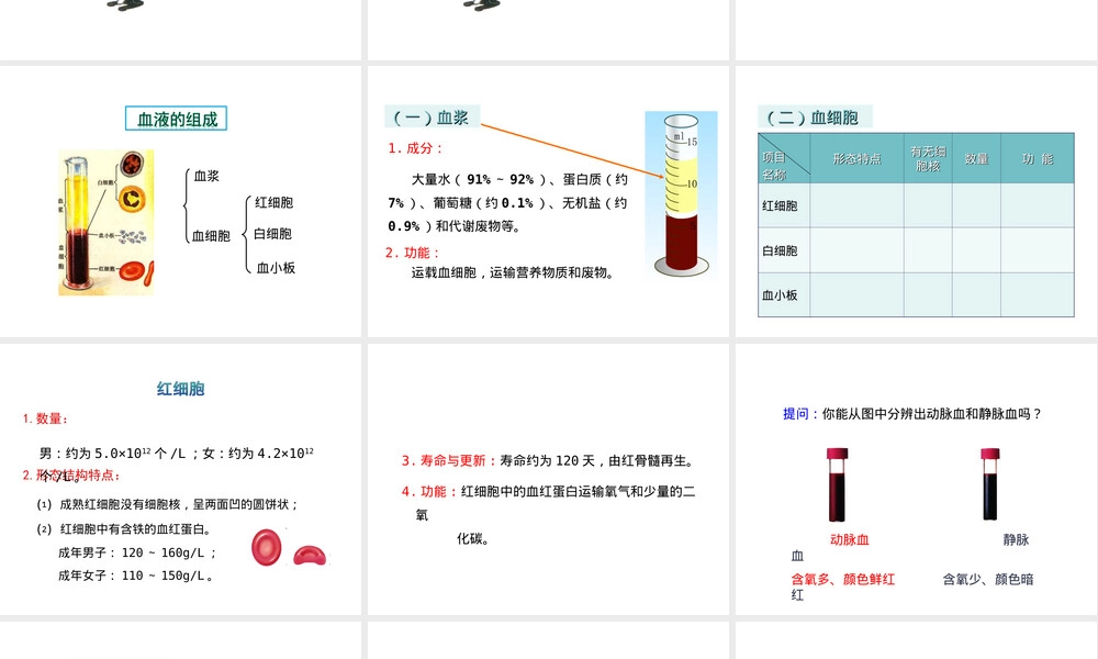 苏教版七年级生物人体内物质运输与能量供给PPT课件.ppt