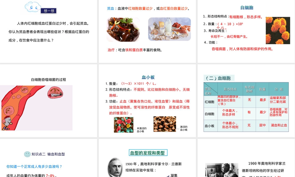 苏教版七年级生物人体内物质运输与能量供给PPT课件.ppt