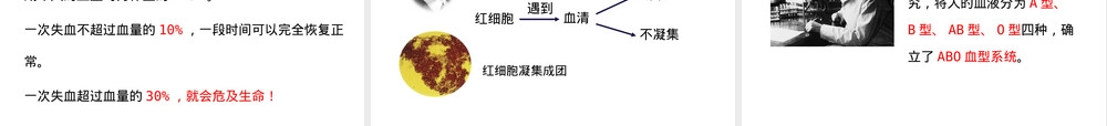 苏教版七年级生物人体内物质运输与能量供给PPT课件.ppt