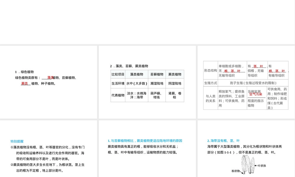 人教版七年级生物绿色植物种类练习题PPT课件.ppt