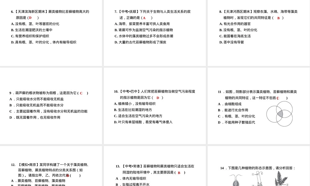 人教版七年级生物绿色植物种类练习题PPT课件.ppt