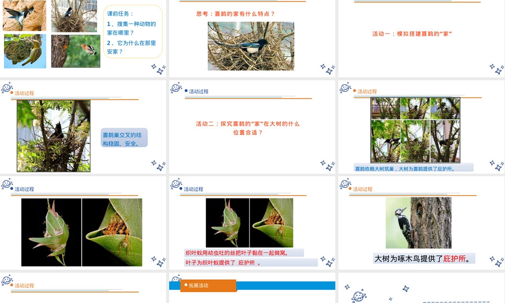 小学科学四年级下册动物的家教学PPT课件 副本1.pptx