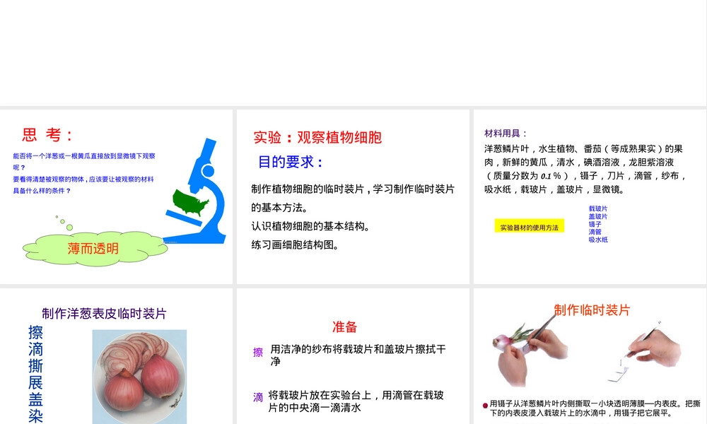 人教版七年级生物上册练习使用显微镜教学PPT课件.pptx