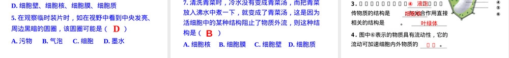 人教版七年级生物上册练习使用显微镜教学PPT课件.pptx