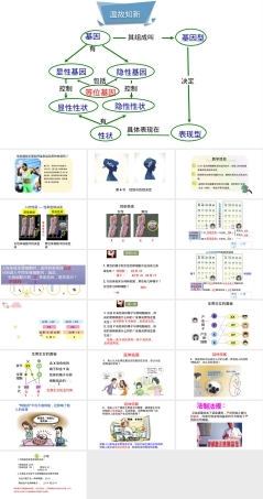 性别和性别决定八年级生物教学PPT课件.pptx