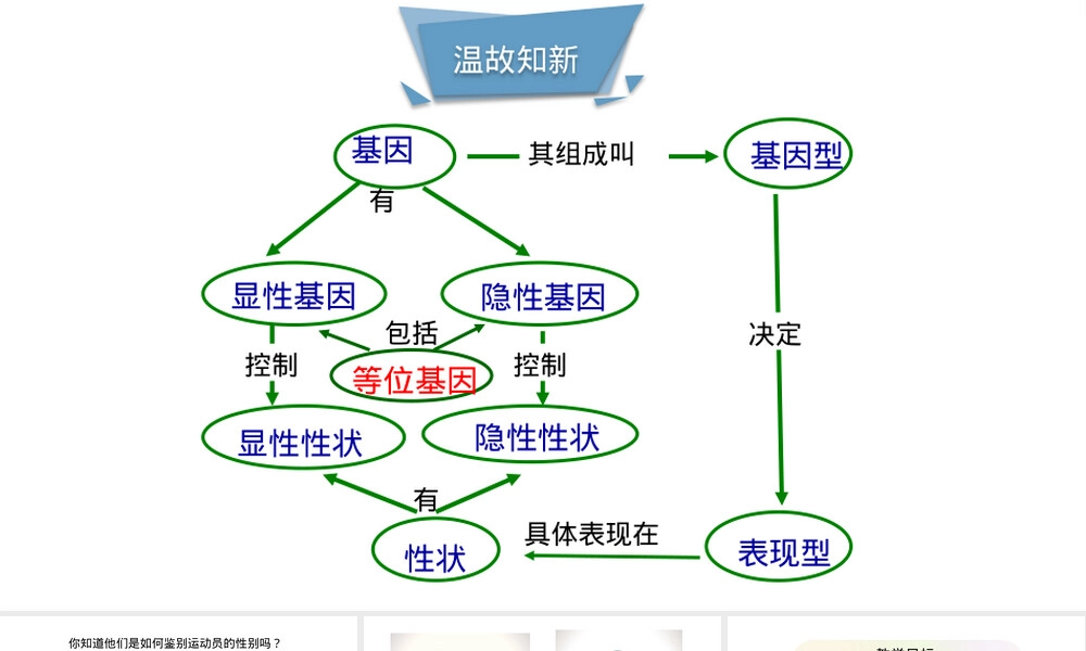性别和性别决定八年级生物教学PPT课件.pptx