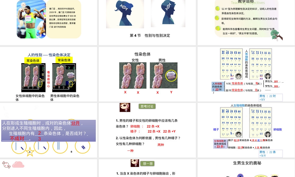 性别和性别决定八年级生物教学PPT课件.pptx