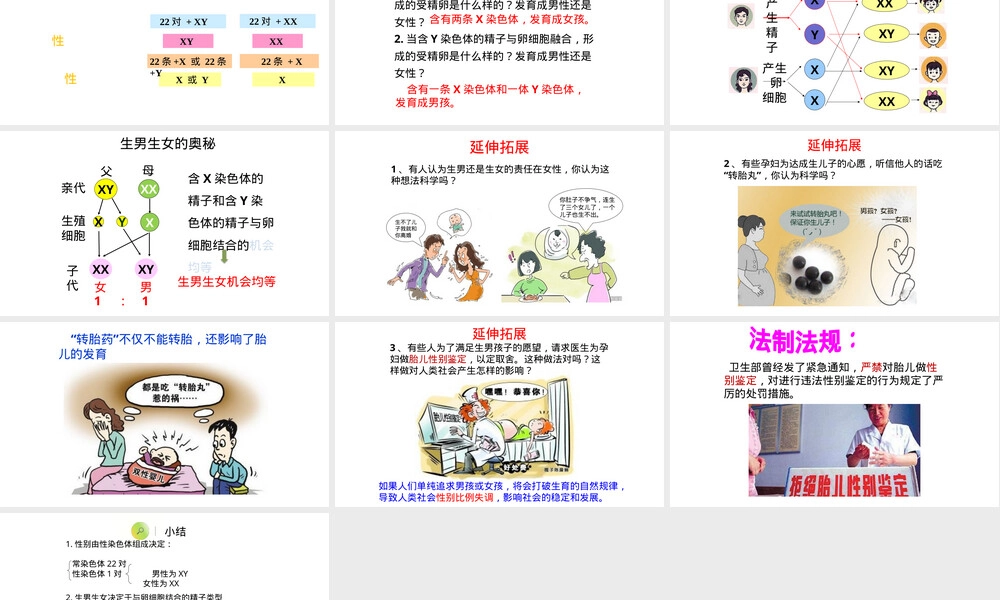 性别和性别决定八年级生物教学PPT课件.pptx