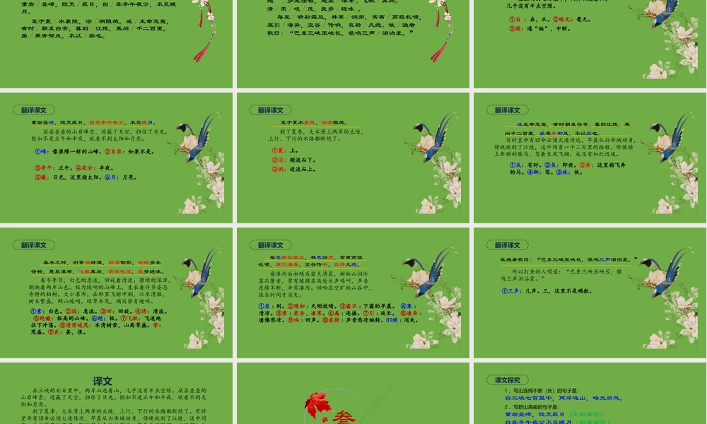 三峡部编版八年级上册语文教学PPT课件.pptx