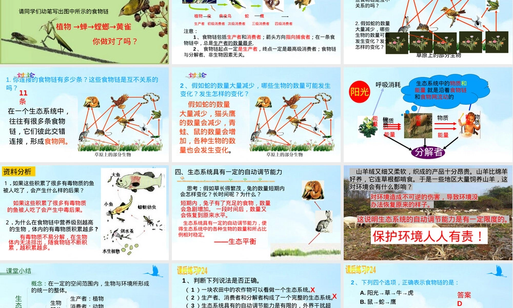 生物与环境组成生态系统教学PPT课件人教版七年级.pptx