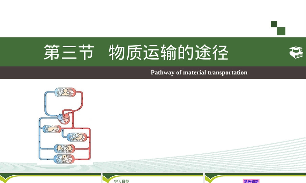 物质运输的途径七年级生物PPT课件.pptx