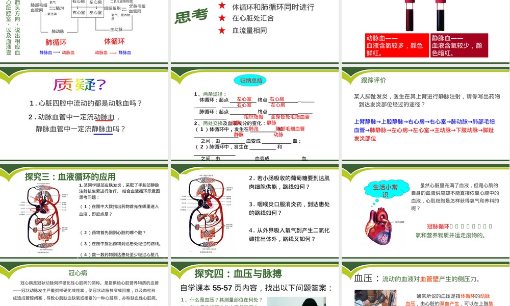 物质运输的途径七年级生物PPT课件.pptx