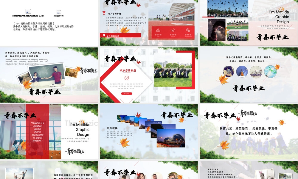 同学聚会青春纪念册PPT模板.pptx