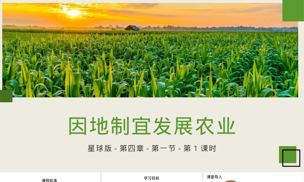 因地制宜发展农业教学PPT课件八年级地理.pptx