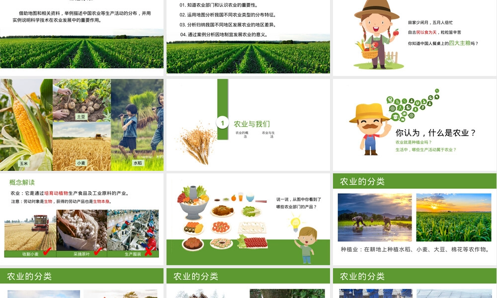 因地制宜发展农业教学PPT课件八年级地理.pptx