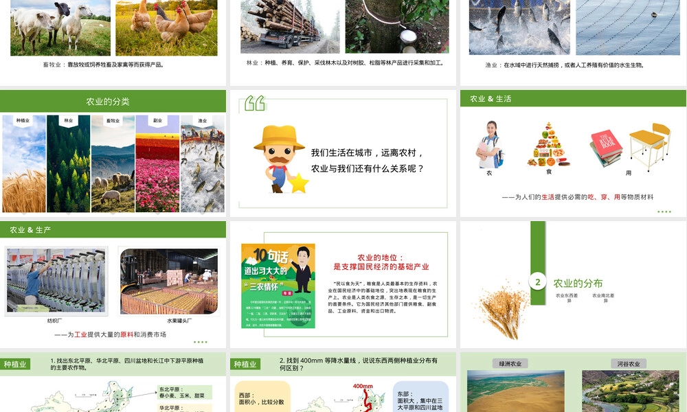 因地制宜发展农业教学PPT课件八年级地理.pptx