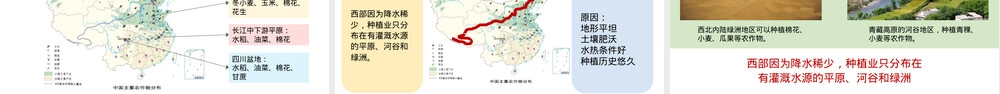 因地制宜发展农业教学PPT课件八年级地理.pptx
