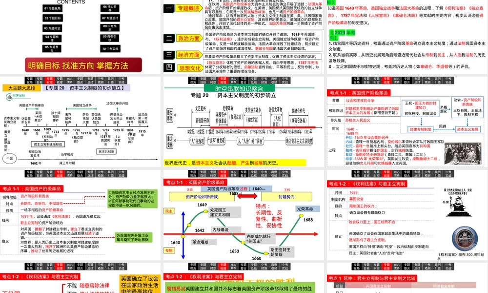 专题20资本主义制度的初步确立中考历史复习PPT课件.pptx